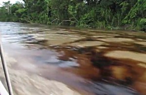 2013 Rio Napo, Derrame de Petróleo