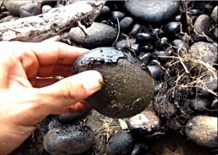 Oil on the river stones near Coca, Ecuador, May 2013