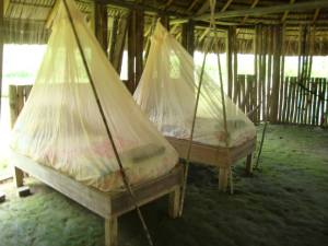 Thank goodness for mosquito nets